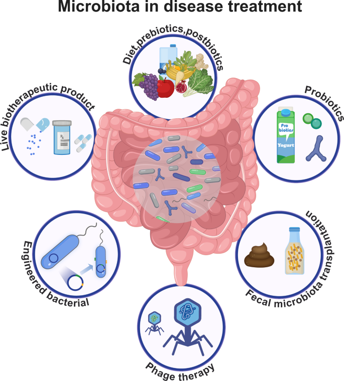 Microbiota in health and diseases | Signal Transduction and Targeted Therapy