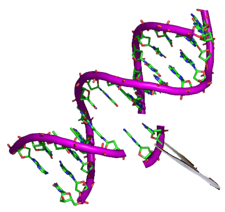 5-FAM (Green) Collagen Hybridizing Peptide - 60ug.